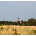 Vue sur l'île d'Olonne 1