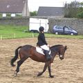 Dressage