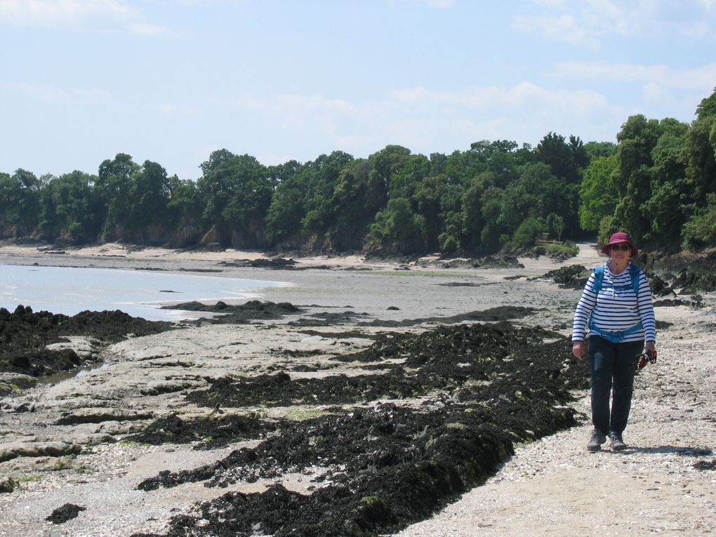 LE SENTIER DES DOUANIERS