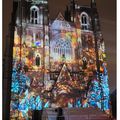 Spectacle d'illuminations Lucia , l'Amazonie, Cathédrale de Nantes