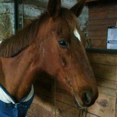 La grande dépression