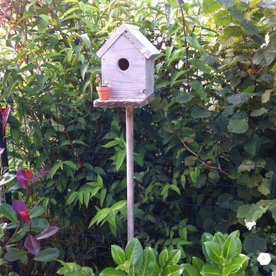 La cabane à oiseau