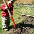 Jardinier en herbe !