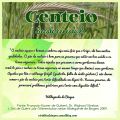 CENTEIO (Secale cereale l.) - o cereal para quem deseja emagrecer!