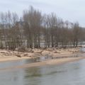 Coligny derrière les arbres