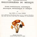 Champignons Pré-Colombiens 1