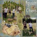 Passion chiens