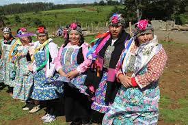 Au Chili, l’armée face aux Mapuches qui revendiquent des territoires