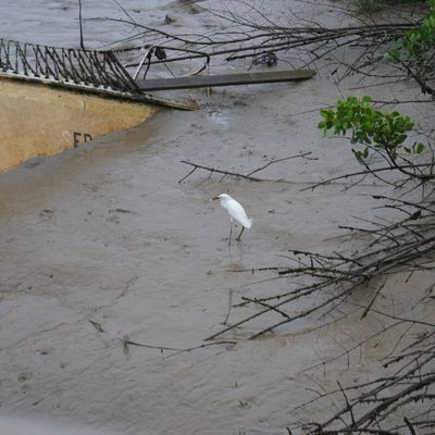 les îles du Salut le samedi 9 mars