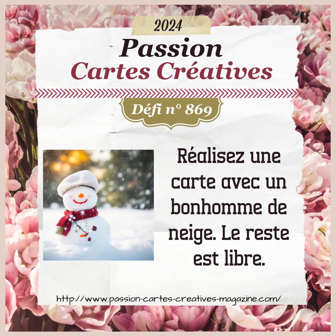 869 - bonhomme de neige 21 novembre