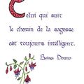 Le chemin de la sagesse