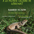 Découvrir les reptiles !!