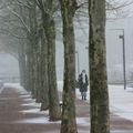 Pa- Le parc sous la neige