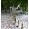 Il neige !