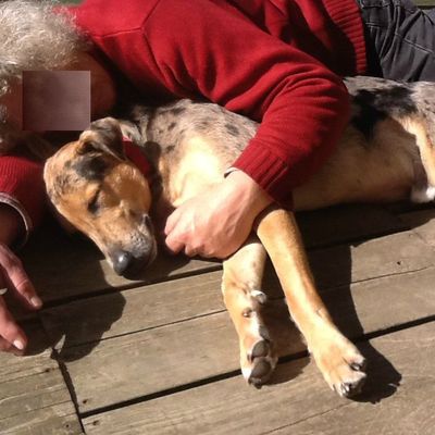 A l'heure de la sieste...