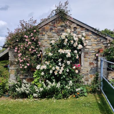Retour sur le week-end aux jardins