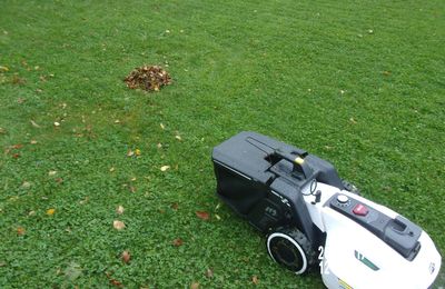 La coupe d'herbe, et ramassage des feuilles par Yuka !
