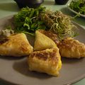 samosa potimarron