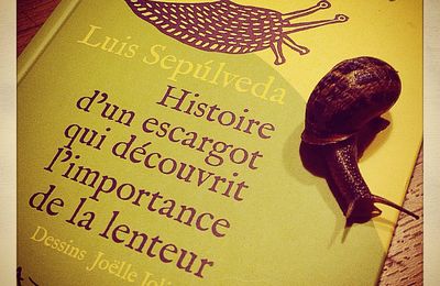 L'HISTOIRE D'UN ESCARGOT QUI DÉCOUVRIT L'IMPORTANCE DE LA LENTEUR - Luis SEPÚLVEDA / Dessins Joëlle JOLIVET