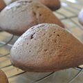 Madeleines au chocolat et speculoos 