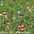 Recyclage des oeufs de Pâques