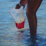 Pastels Corinne Caillé