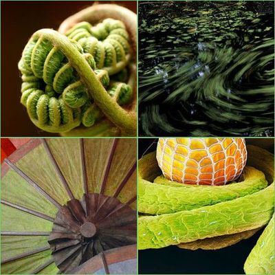 La vie en couleurs #2