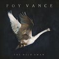 Foy Vance "The Wild Swan"