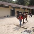 premier cours de cheval pour inès