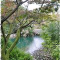 Visite au Jardin japonais (3/5)