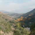 Espagne/Andalousie - Grenade, le Sacromonte