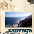 Sauvage