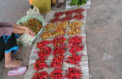 Pakse - Un touriste sachant voyager sans avoir la tourista est un touriste chanceux ...