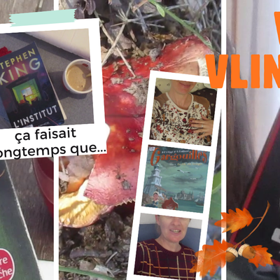 🍁 VLog et VLectures VLintage de VLautomne !