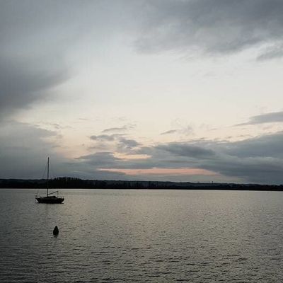 Comptage Laridés à Miribel