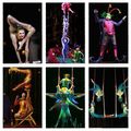 Le Cirque du Soleil Varekai