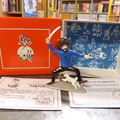 Pixi "Le secret de la Licorne" Haddock en Corsaire avec Milou n° 4515. Les aventures de Tintin par Hergé