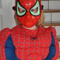 Spider-woman