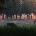 Aubes de septembre