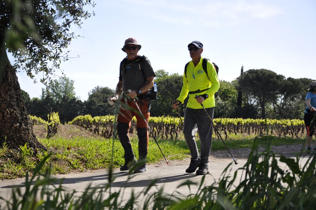 Faites défiler les photos à l'aide de la flèche