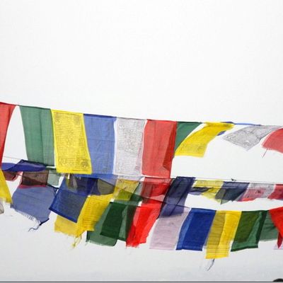 Si vous le souhaitez …suivez moi sur les chemins