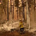 Incendies en Australie