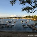 Cap d'Antibes : Baignade à Juan les pins