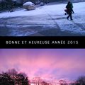 Bonne année 2015