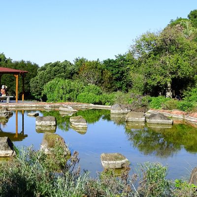JARDIN BOTANIQUE, TAFIRA BAJA, ÎLE DE GRAN CANARIA.