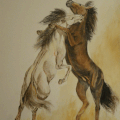 Chevaux