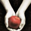 Fascination, par Stephenie Meyer.