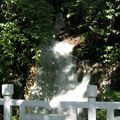 Le parc de Yangmingshan