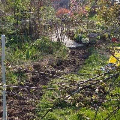 Notre chemin continue