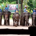 phitsanulok/chiang mai avec une nuit à lampang la ville des éléphants.